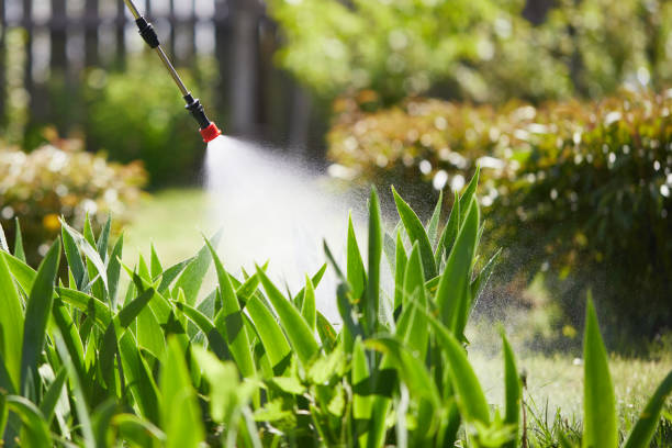 Tamper-Resistant Bait Stations for Rodents in Arcadia