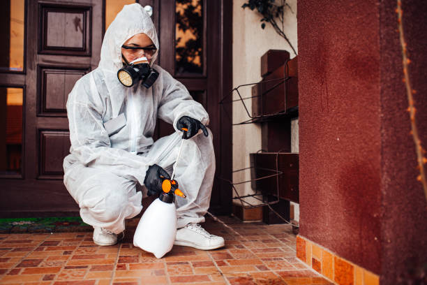 Attic and Crawl Space Rodent Treatment in Arcadia