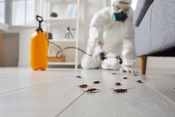 Commercial Rodent Management in Arcadia